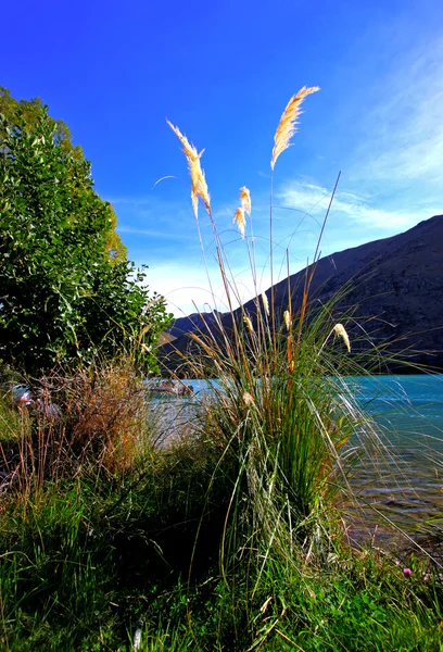 ニュージーランドの山に囲まれた湖 — ストック写真