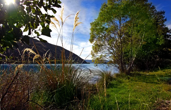 Yeni Zelanda Dağları'Lake nestled — Stok fotoğraf