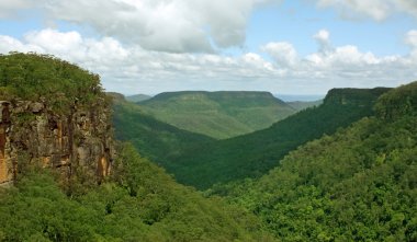 Kanguru Vadisi, güneyinde nsw, Avustralya