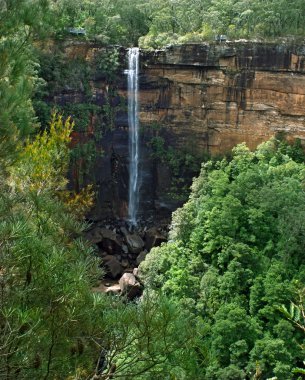 Fitzroy Falls, Kangaroo Valley, South of NSW, Australia clipart