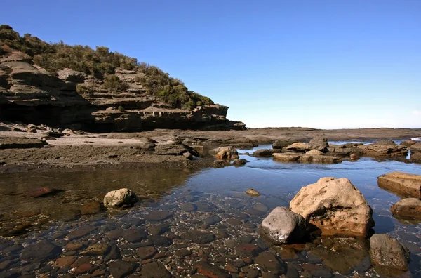 stock image Australian South Coast