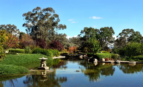カウラ、オーストラリアで日本庭園 — ストック写真