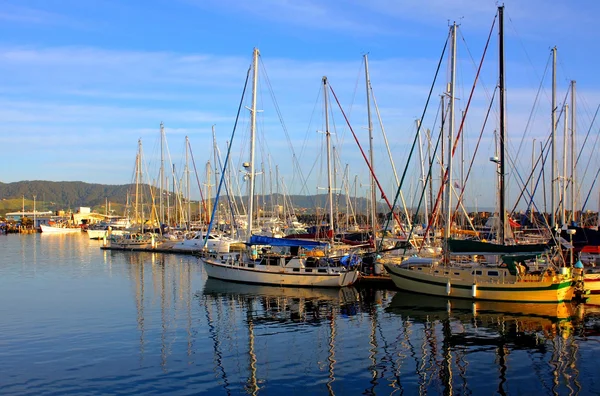 stock image Coffs Harbour Marina, NSW Australia