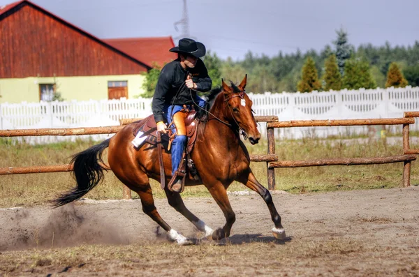 Horse racer — Stock Photo, Image
