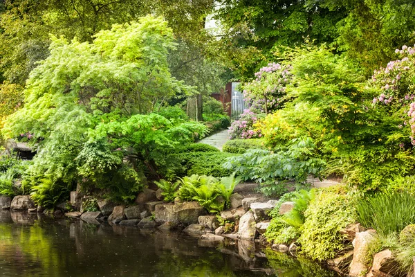 Giardino pieno di fiori — Foto Stock