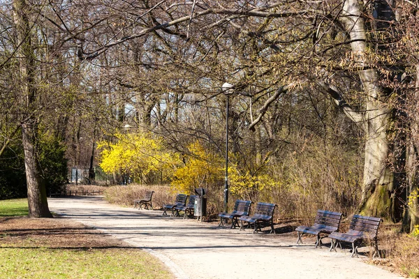 Park w okresie wiosennym — Zdjęcie stockowe