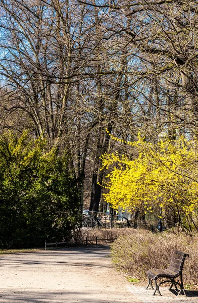 Parque en primavera — Foto de Stock