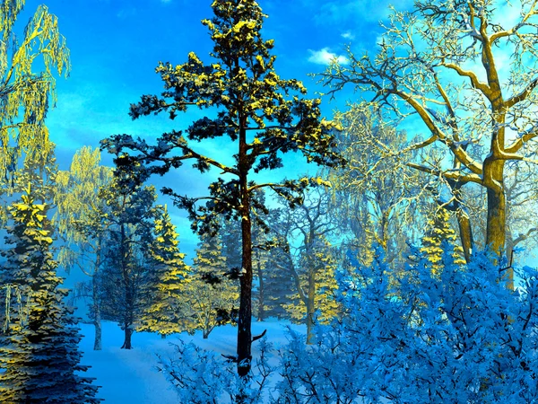 Bevroren bos — Stockfoto