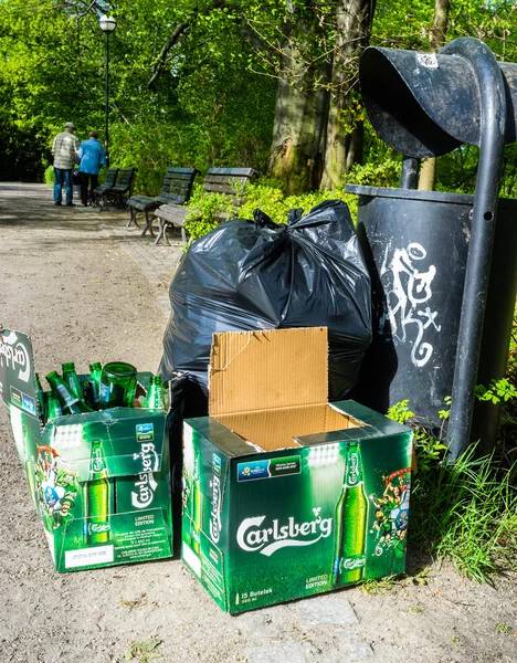 Carlsberg pullo olutta lähellä roskakori Puolan puistossa — kuvapankkivalokuva