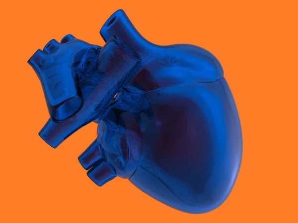 人工人类心脏模型 — 图库照片