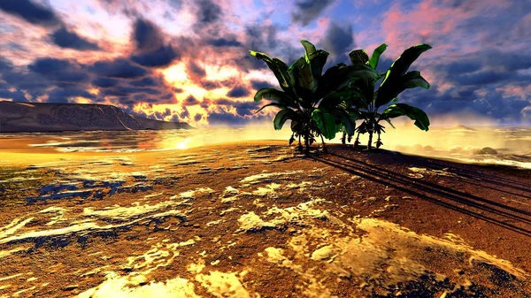 Hawajski raj — Zdjęcie stockowe