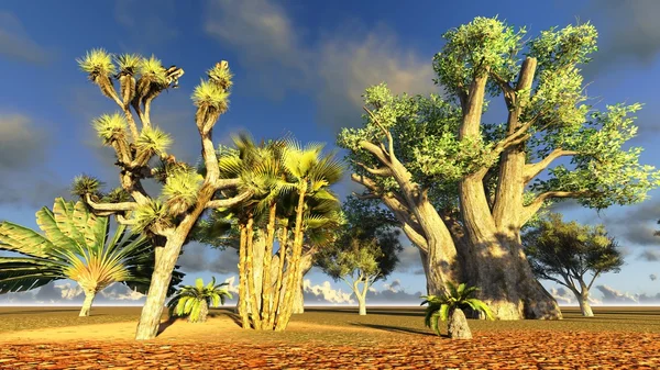 stock image African baobabs