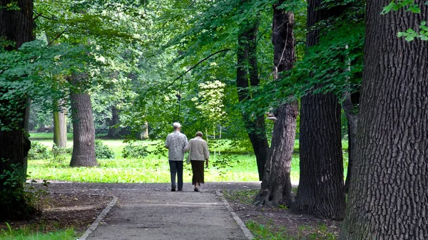 Parktaki yaşlı çift. — Stok fotoğraf
