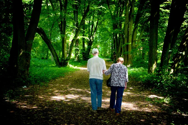 Elderly couple walking in the spring park — Stock Photo, Image