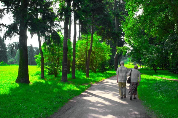 Seniorenpaar im Park — Stockfoto