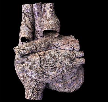 Model of ruined human heart clipart