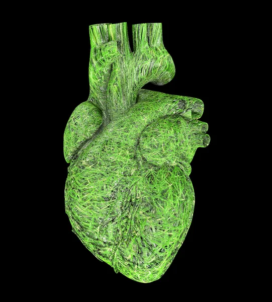 Corazón ecológico —  Fotos de Stock