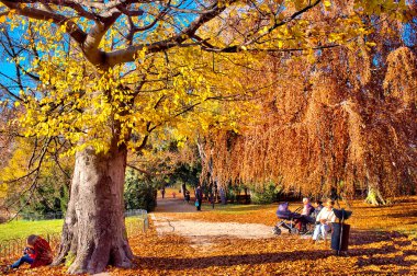 automnal Park'ta rahatlatıcı