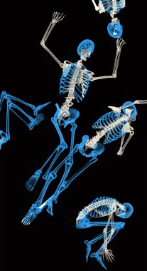 Skeletons clipart