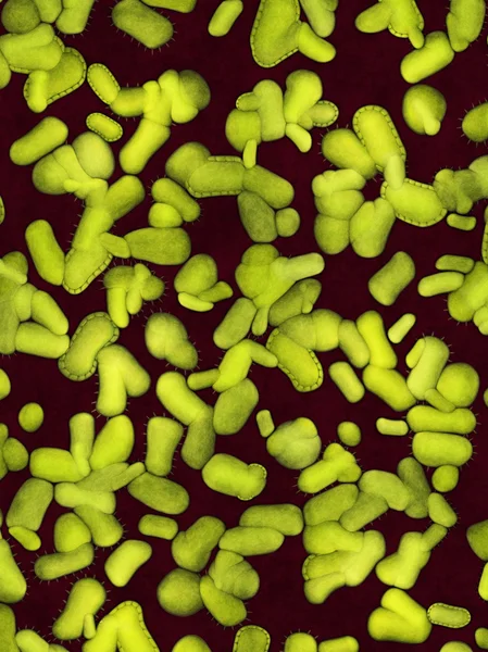 Kolonie nebezpečných bakterií — Stock fotografie