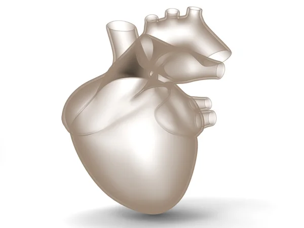 Modello di cuore umano artificiale — Foto Stock