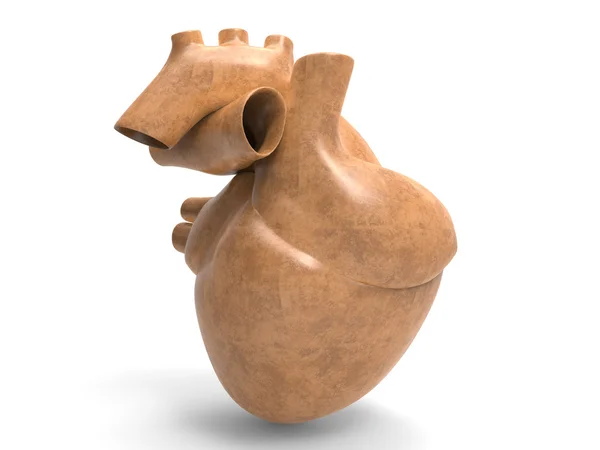 Model umělé lidské srdce — Stock fotografie
