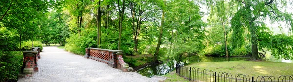 Panoramautsikt över vägen i parken — Stockfoto