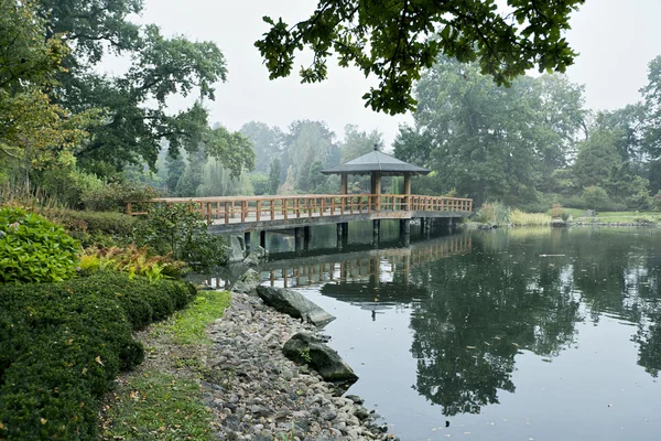 stock image Japanese garden