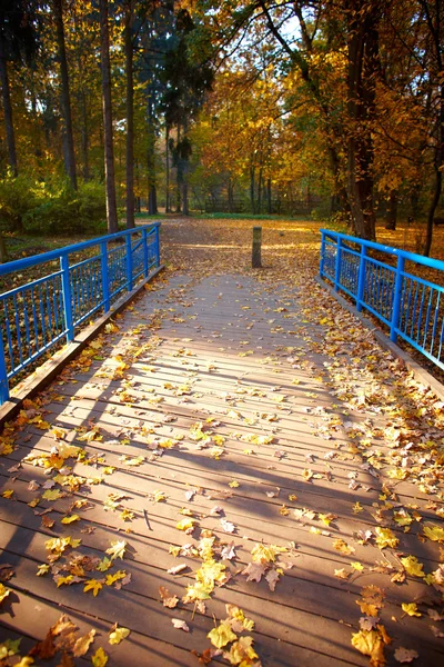 Blue bridge i skogen — Stockfoto