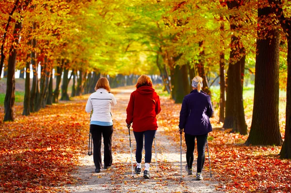 Три жінки в парку - Нордична ходьба — стокове фото