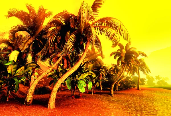 Paraíso hawaiano — Foto de Stock