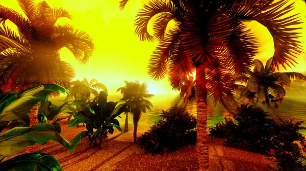 Hawaiian Paradise — Stockfoto