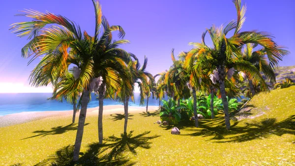 Гавайский рай — стоковое фото
