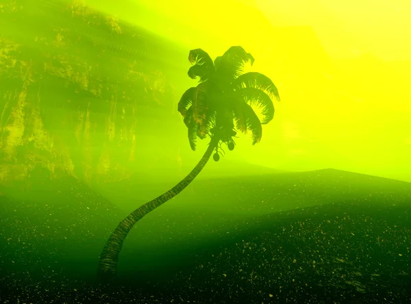 Ensam coconut palm tree — Stockfoto