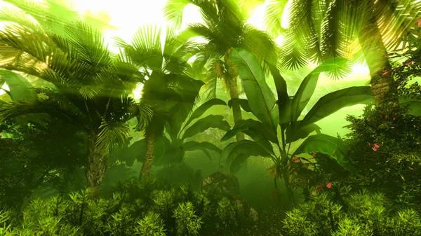 Morgondimma i tät tropisk regnskog — Stockfoto