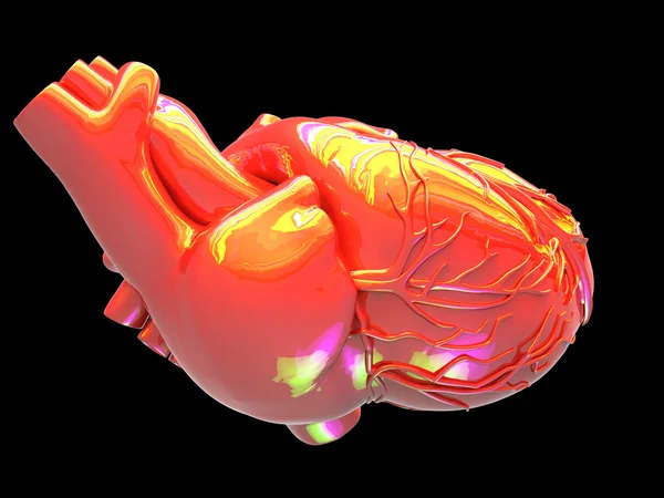 Model of artificial human heart — Stock Photo, Image