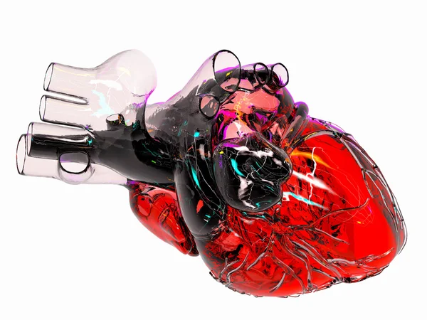 Modelo de corazón humano artificial — Foto de Stock