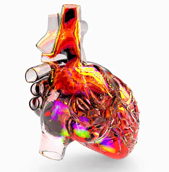 人工人类心脏模型 — 图库照片