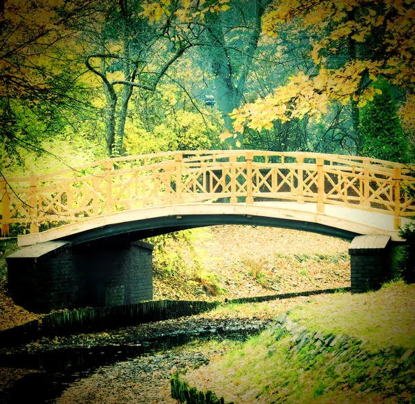 Park w czas jesieni — Zdjęcie stockowe