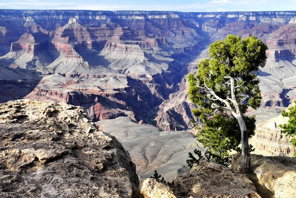 stock image Colorado canyon