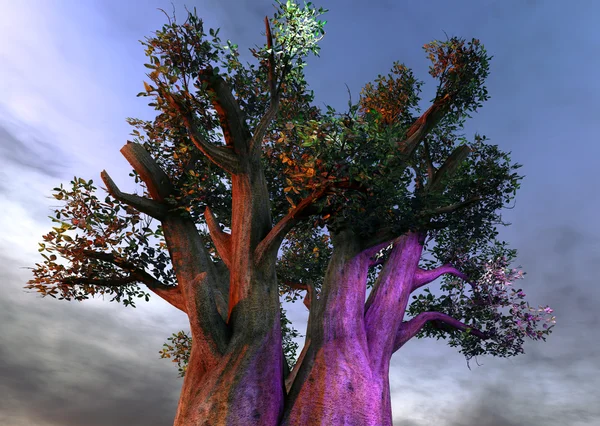 Baobab africano — Foto Stock