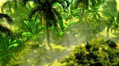 Morning fog in dense tropical rainforest clipart