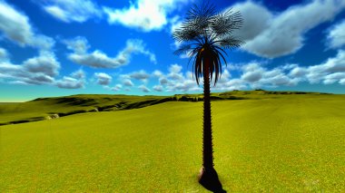 Yapayalnız palmiye ağacı