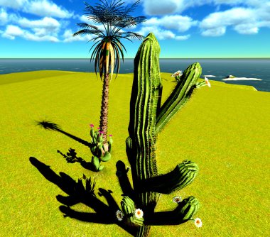 saguaro kaktüsü