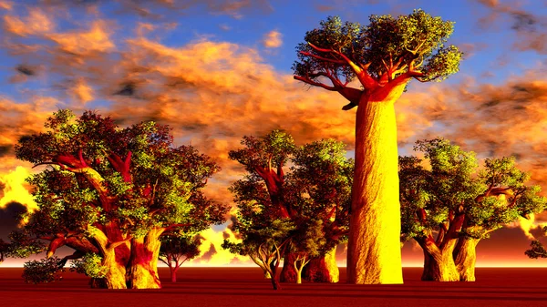stock image African baobabs