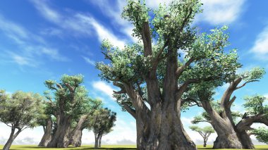 Afrika baobabs