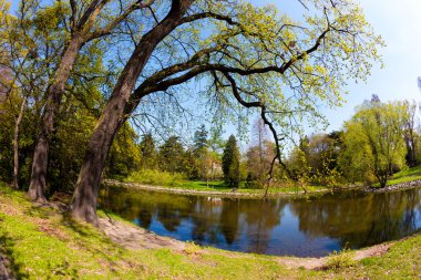 Bahar süre Park