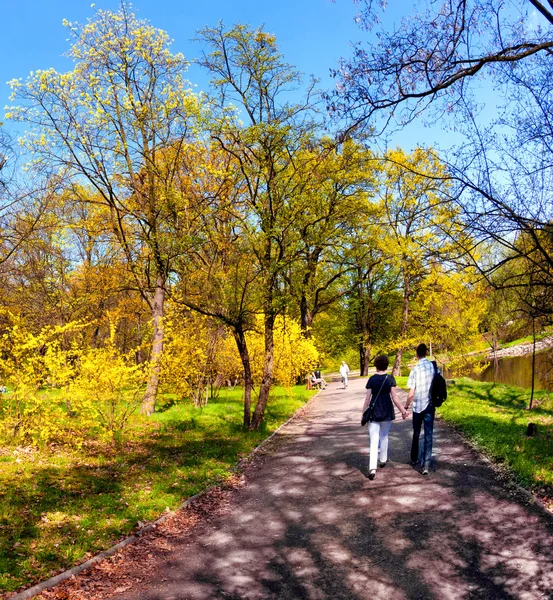 公園で春の時間 — ストック写真