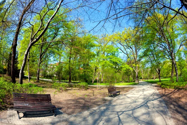 Kevät puistossa — kuvapankkivalokuva