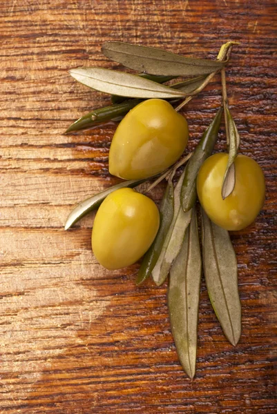Branch with green olives — Stock Photo, Image